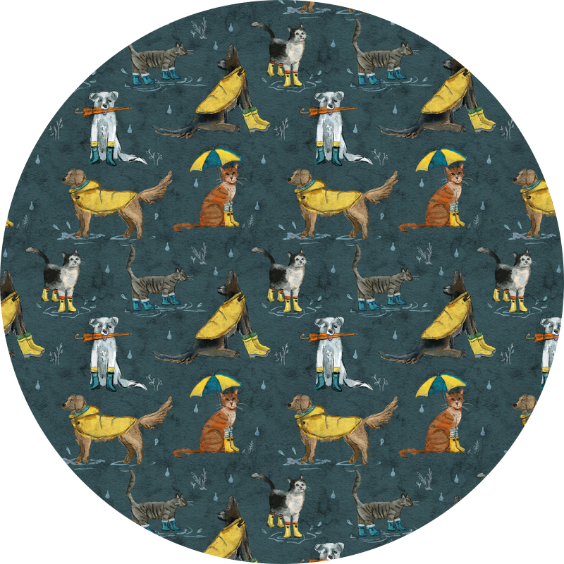 Raining Cats & Dogs
