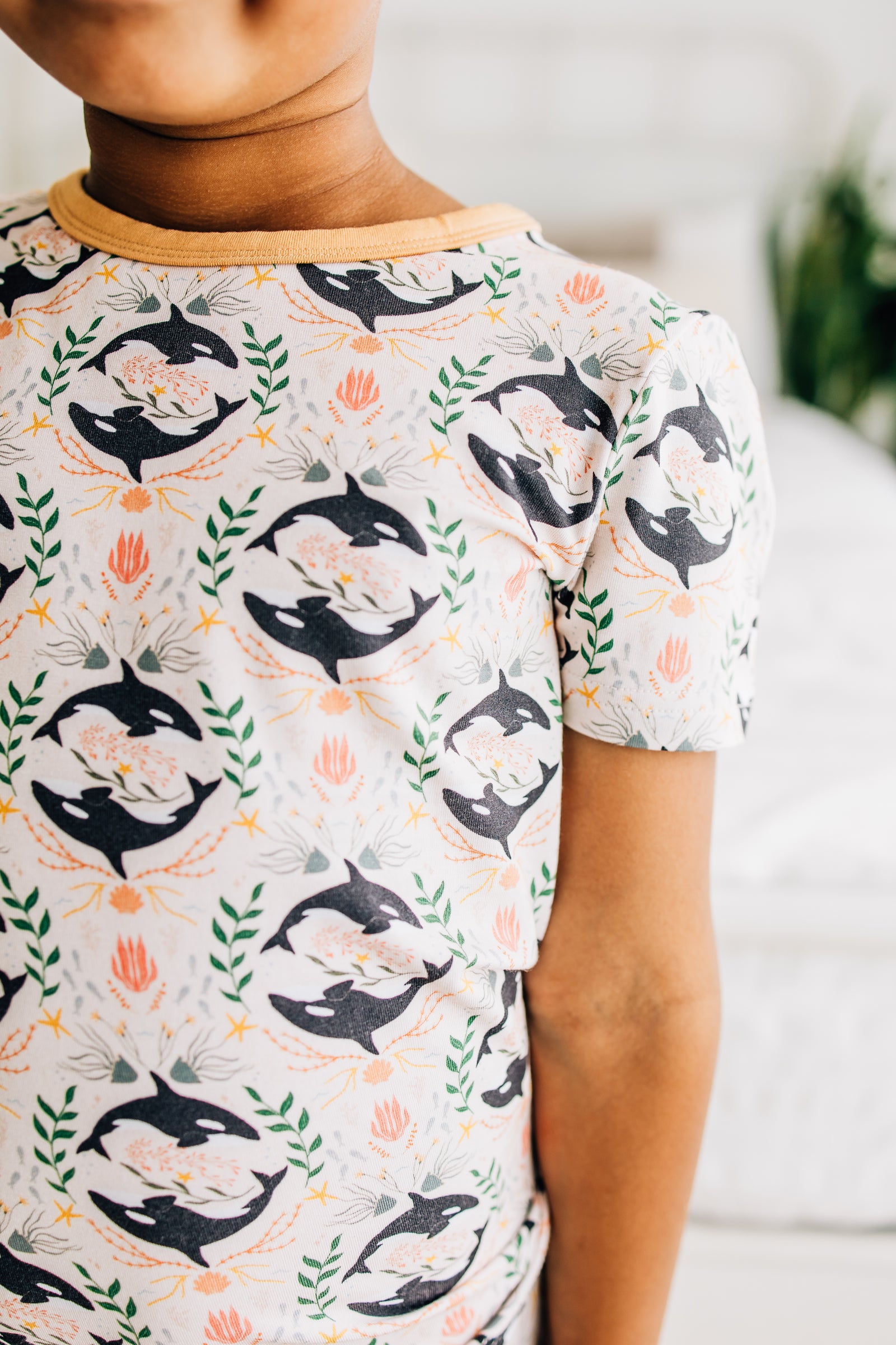 Orca Toile