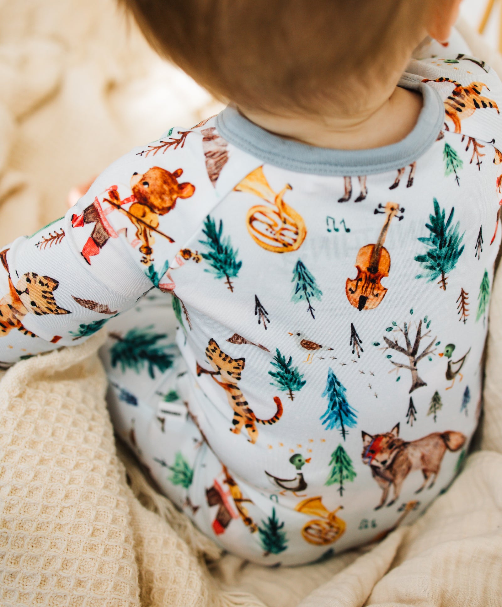 Peter and the Wolf