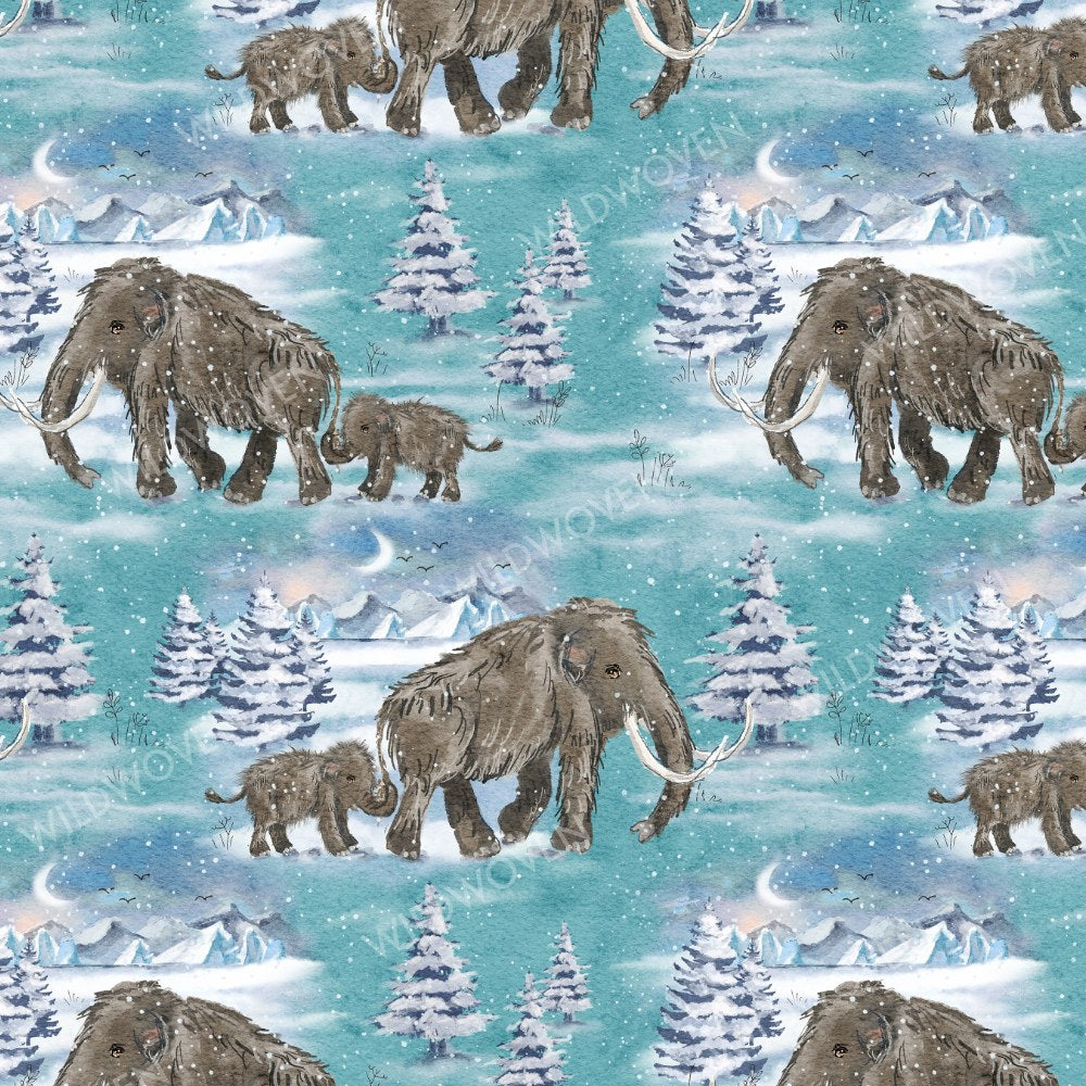 Woolly Wonderland print swatch